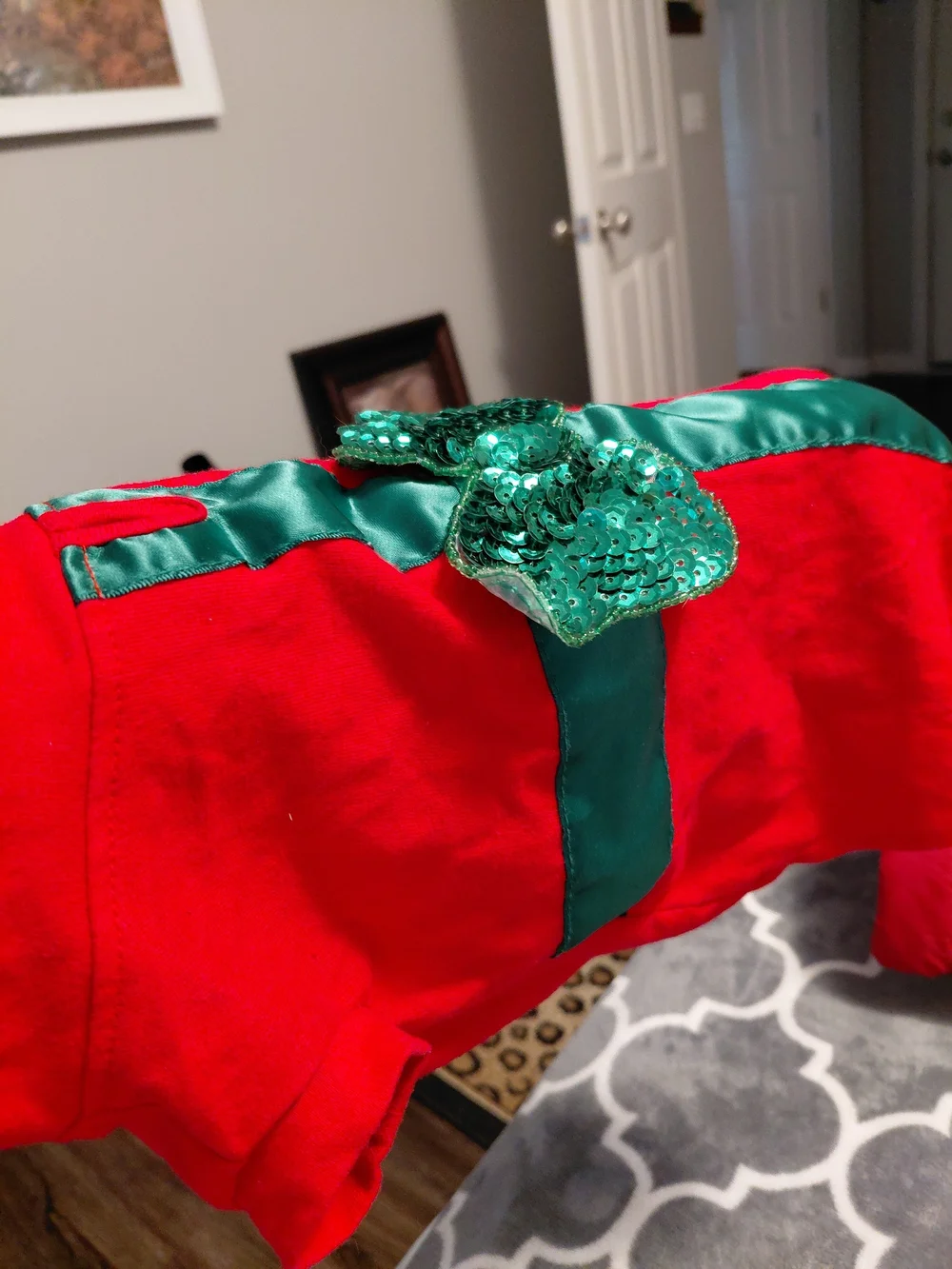 DOGGIE Festive Party Dress